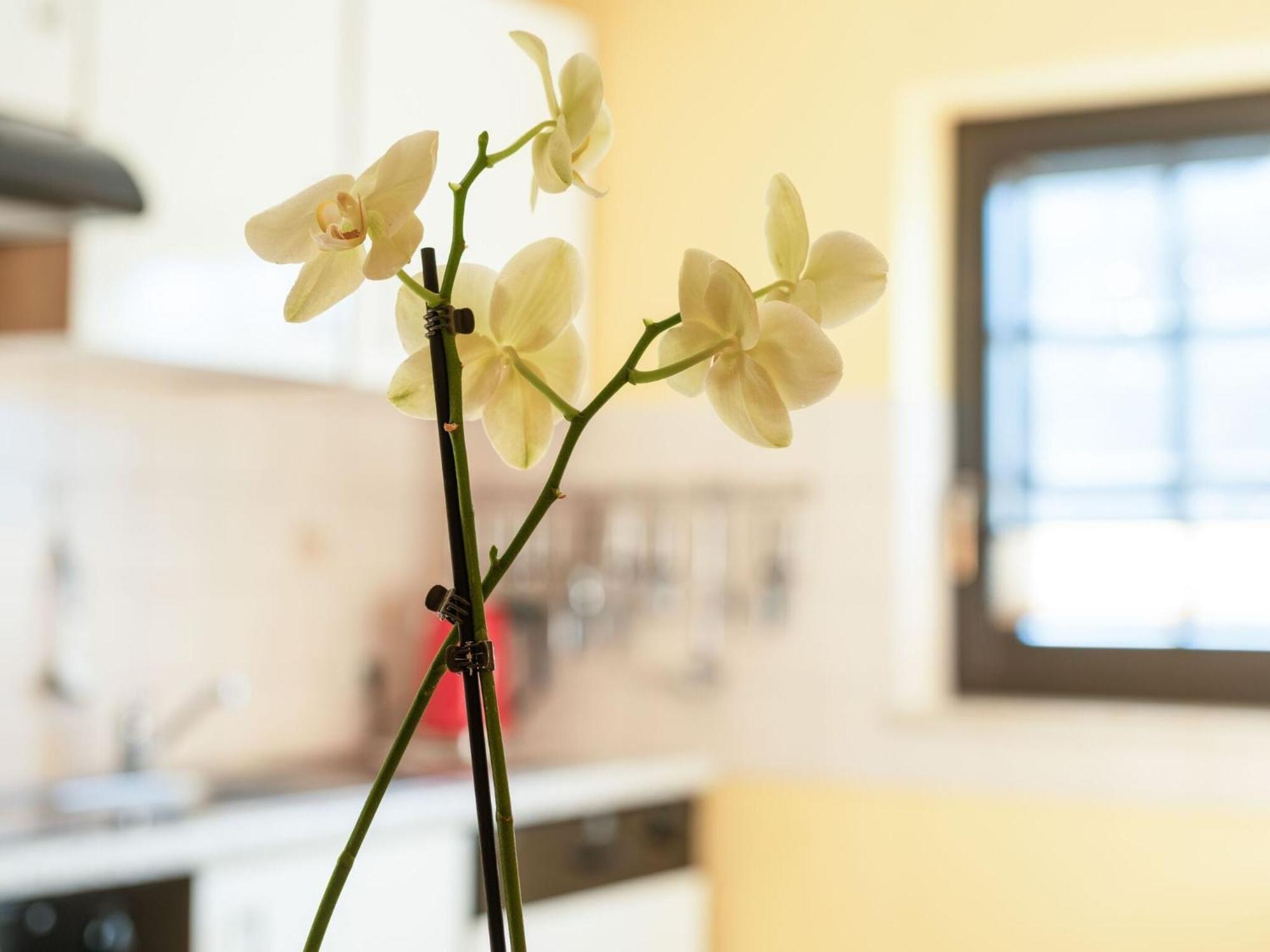 Modern Apartment In Merschbach Hunsruck ภายนอก รูปภาพ
